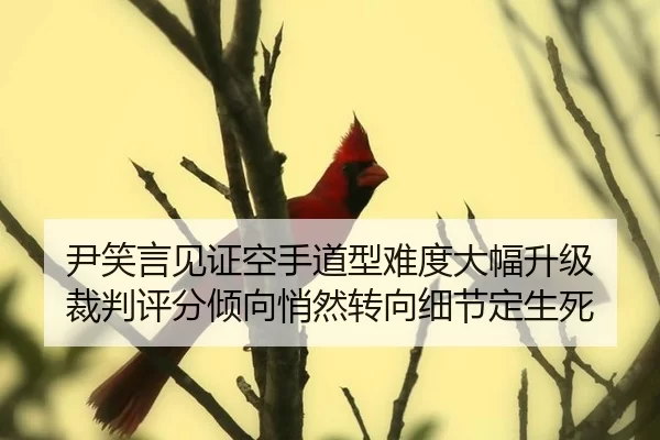 yin-xiao-yan-jian-zheng-kong-shou-dao-xing-nan-du-da-fu-sheng-ji-cai-pan-ping-fen-qing-xiang-qiao-ran-zhuan-xiang-xi-2-287.jpg